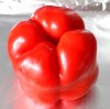 Roast Red Pepper