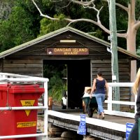 Picking up the mail at Danger Island